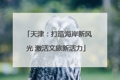 天津：打造海岸新风光 激活文旅新活力