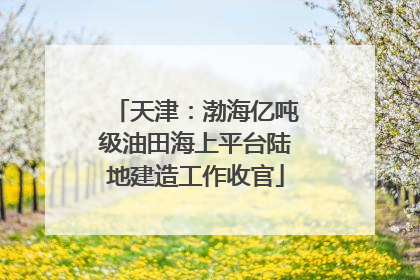 天津：渤海亿吨级油田海上平台陆地建造工作收官