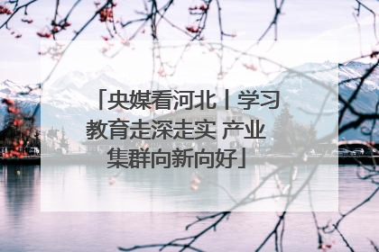 央媒看河北丨学习教育走深走实 产业集群向新向好