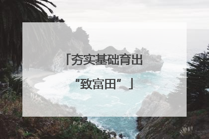 夯实基础育出“致富田”
