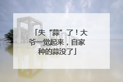 失“蒜”了！大爷一觉起来，自家种的蒜没了