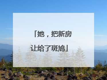 她，把新房让给了斑鸠