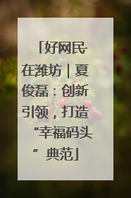 好网民·在潍坊｜夏俊磊：创新引领，打造“幸福码头”典范