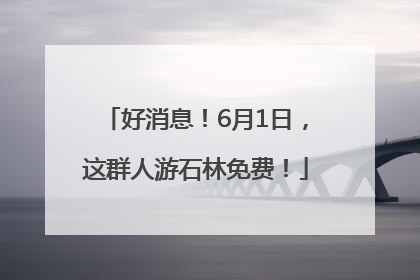 好消息！6月1日，这群人游石林免费！