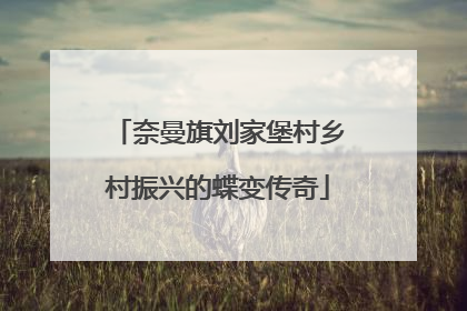 奈曼旗刘家堡村乡村振兴的蝶变传奇