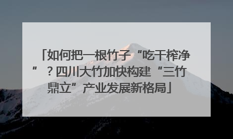 如何把一根竹子“吃干榨净”？四川大竹加快构建“三竹鼎立”产业发展新格局