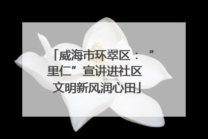 威海市环翠区：“里仁”宣讲进社区 文明新风润心田