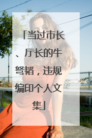 当过市长、厅长的牛弩韬，违规编印个人文集