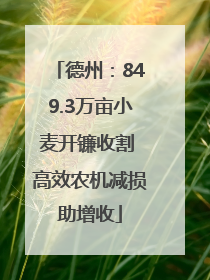 德州：849.3万亩小麦开镰收割 高效农机减损助增收