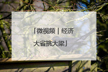 微视频｜经济大省挑大梁