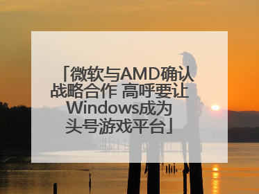 微软与AMD确认战略合作 高呼要让Windows成为头号游戏平台