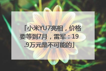 小米YU7亮相，价格要等到7月，雷军：19.9万元是不可能的