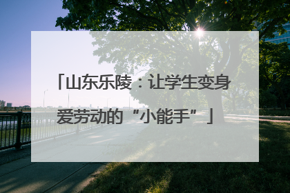 山东乐陵：让学生变身爱劳动的“小能手”