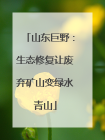山东巨野：生态修复让废弃矿山变绿水青山