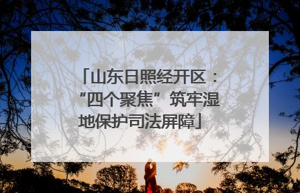 山东日照经开区：“四个聚焦”筑牢湿地保护司法屏障