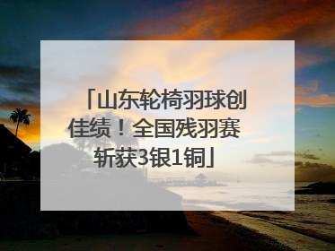 山东轮椅羽球创佳绩！全国残羽赛斩获3银1铜