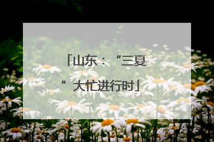 山东：“三夏”大忙进行时