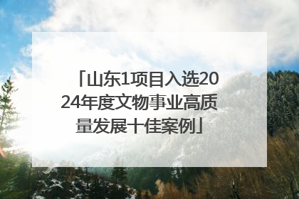 山东1项目入选2024年度文物事业高质量发展十佳案例