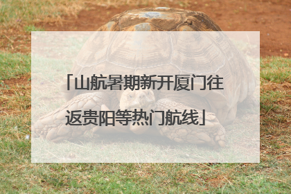 山航暑期新开厦门往返贵阳等热门航线