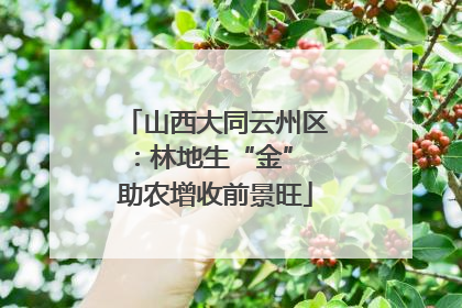 山西大同云州区：林地生“金” 助农增收前景旺