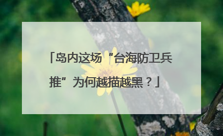 岛内这场“台海防卫兵推”为何越描越黑？