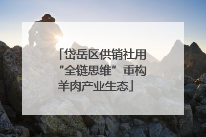 岱岳区供销社用“全链思维”重构羊肉产业生态