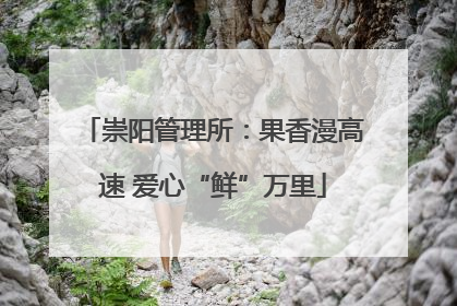 崇阳管理所：果香漫高速 爱心“鲜”万里