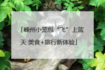 嵊州小笼包“飞”上蓝天 美食+旅行新体验