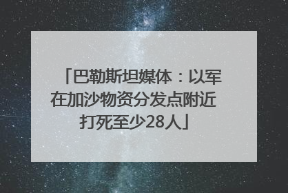 巴勒斯坦媒体：以军在加沙物资分发点附近打死至少28人