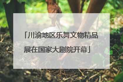 川渝地区乐舞文物精品展在国家大剧院开幕