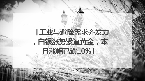 工业与避险需求齐发力，白银涨势紧逼黄金，本月涨幅已逾10%