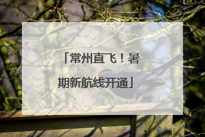 常州直飞！暑期新航线开通