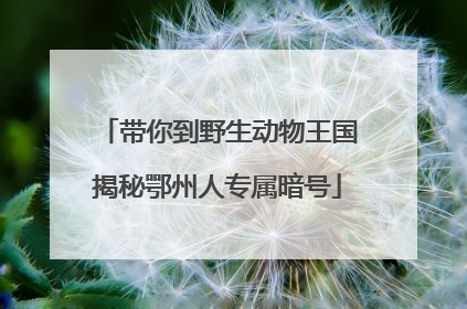 带你到野生动物王国揭秘鄂州人专属暗号