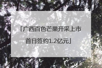 广西百色芒果开采上市 首日签约1.2亿元
