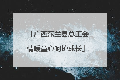 广西东兰县总工会情暖童心呵护成长