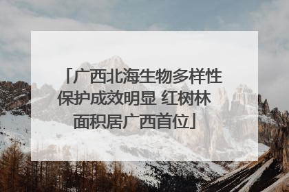 广西北海生物多样性保护成效明显 红树林面积居广西首位