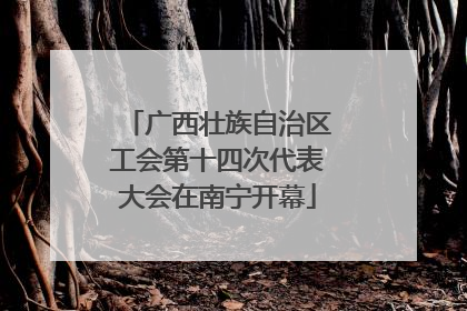 广西壮族自治区工会第十四次代表大会在南宁开幕