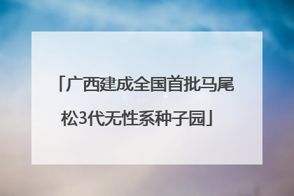 广西建成全国首批马尾松3代无性系种子园