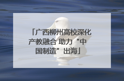 广西柳州高校深化产教融合 助力“中国制造”出海