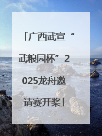 广西武宣“武粮园杯”2025龙舟邀请赛开桨