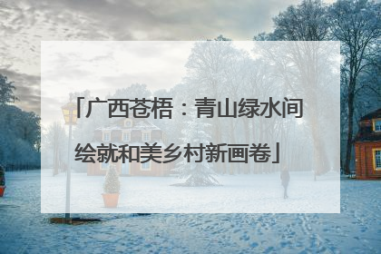 广西苍梧：青山绿水间绘就和美乡村新画卷