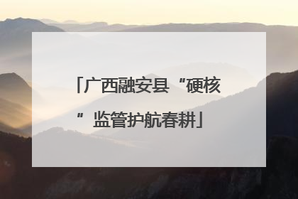 广西融安县“硬核”监管护航春耕