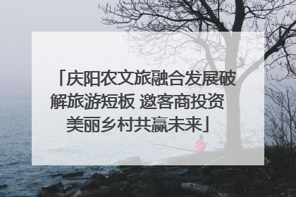 庆阳农文旅融合发展破解旅游短板 邀客商投资美丽乡村共赢未来