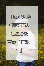 庭审观摩+现场普法 让法治教育更“直观”