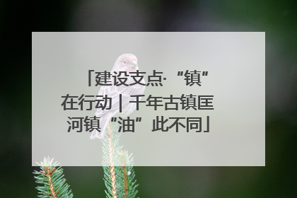 建设支点·“镇”在行动｜千年古镇匡河镇“油”此不同