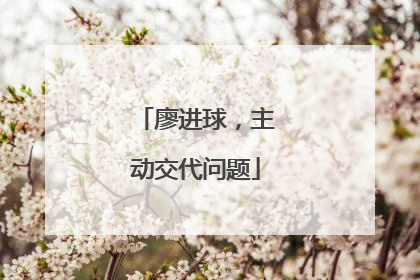 廖进球，主动交代问题