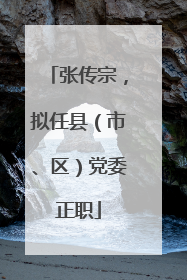 张传宗，拟任县（市、区）党委正职