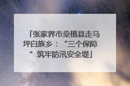 张家界市桑植县走马坪白族乡：“三个保障”筑牢防汛安全堤