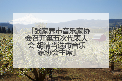 张家界市音乐家协会召开第五次代表大会 胡情当选市音乐家协会主席