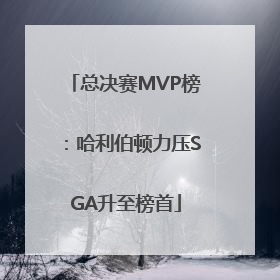 总决赛MVP榜：哈利伯顿力压SGA升至榜首